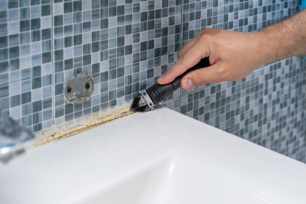 Best Emergency Mold Remediation in La Feria, TX